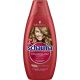 Schauma sampon 400 ml Color Shine