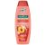 Palmolive sampon 350 ml 2in1 Hydra Balance
