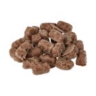 Fun Bites - Csokoládéba mártott gumicukor - 100g - Garfield