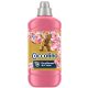 Coccolino öblítő koncentrátum 51 mosás 1,275 l Honeysuckle&Sandalwood